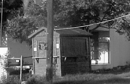 Lechugas 2003
